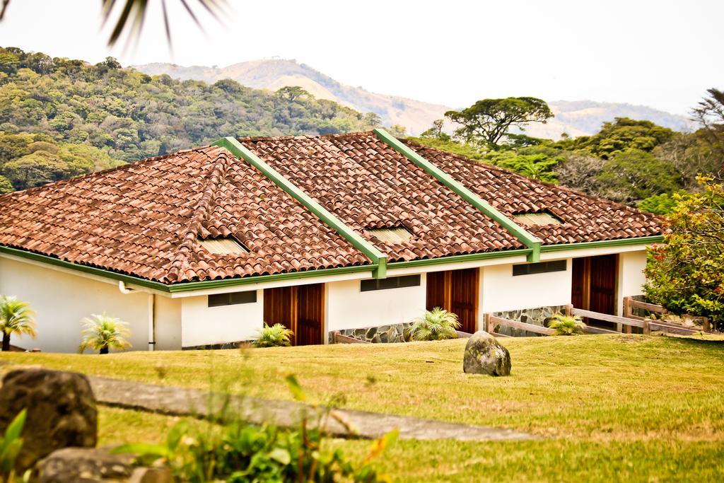 Montaña